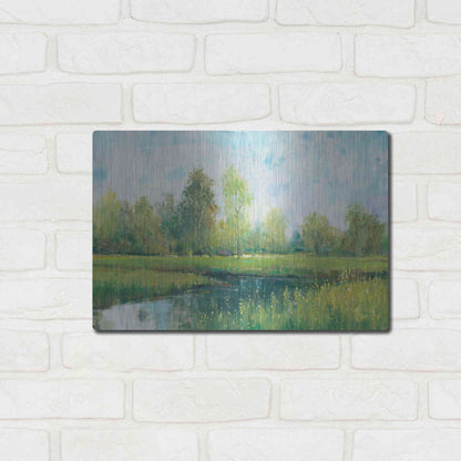 Luxe Metal Art 'Tranquil Park I' by Tim O'Toole, Metal Wall Art,16x12