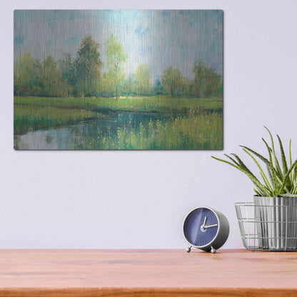 Luxe Metal Art 'Tranquil Park I' by Tim O'Toole, Metal Wall Art,16x12