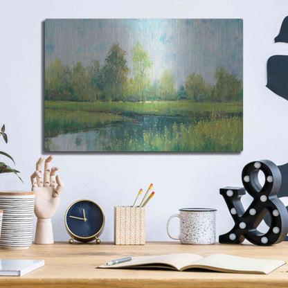 Luxe Metal Art 'Tranquil Park I' by Tim O'Toole, Metal Wall Art,16x12