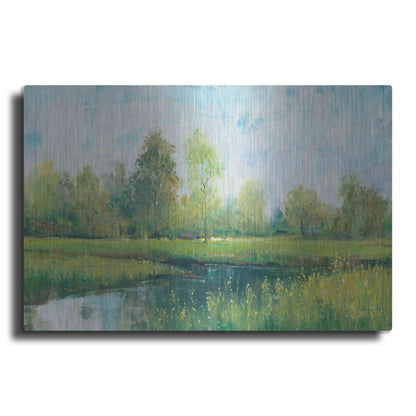 Luxe Metal Art 'Tranquil Park I' by Tim O'Toole, Metal Wall Art