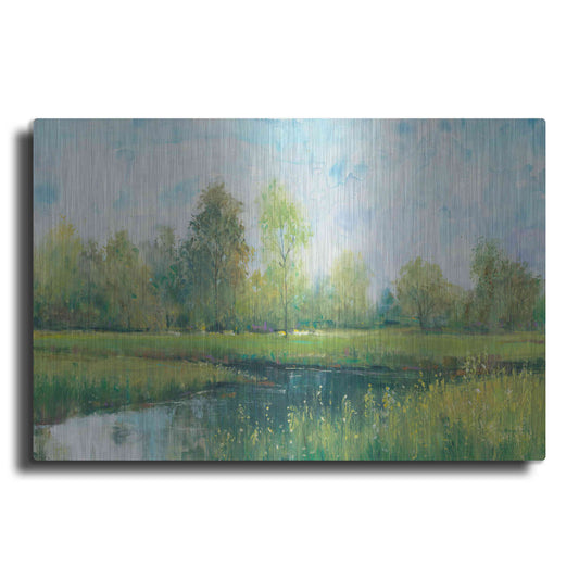 Luxe Metal Art 'Tranquil Park I' by Tim O'Toole, Metal Wall Art
