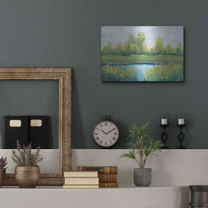 Luxe Metal Art 'Tranquil Park II' by Tim O'Toole, Metal Wall Art,16x12