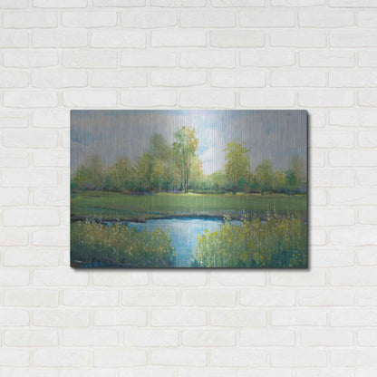Luxe Metal Art 'Tranquil Park II' by Tim O'Toole, Metal Wall Art,36x24
