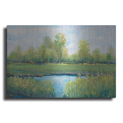 Luxe Metal Art 'Tranquil Park II' by Tim O'Toole, Metal Wall Art