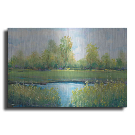 Luxe Metal Art 'Tranquil Park II' by Tim O'Toole, Metal Wall Art