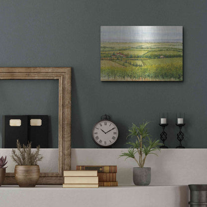 Luxe Metal Art 'Wine Country View I' by Tim O'Toole, Metal Wall Art,16x12