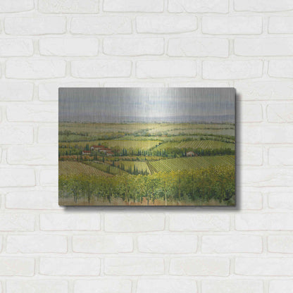 Luxe Metal Art 'Wine Country View I' by Tim O'Toole, Metal Wall Art,24x16