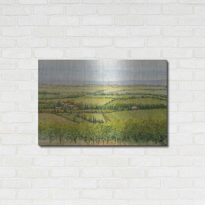 Luxe Metal Art 'Wine Country View I' by Tim O'Toole, Metal Wall Art,36x24