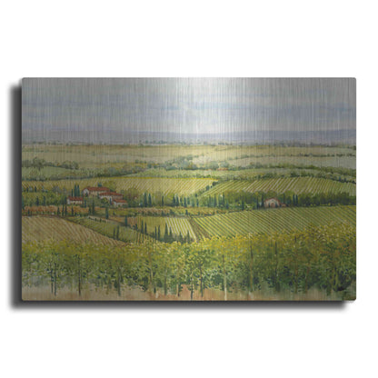 Luxe Metal Art 'Wine Country View I' by Tim O'Toole, Metal Wall Art