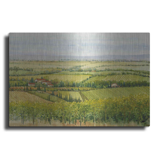 Luxe Metal Art 'Wine Country View I' by Tim O'Toole, Metal Wall Art