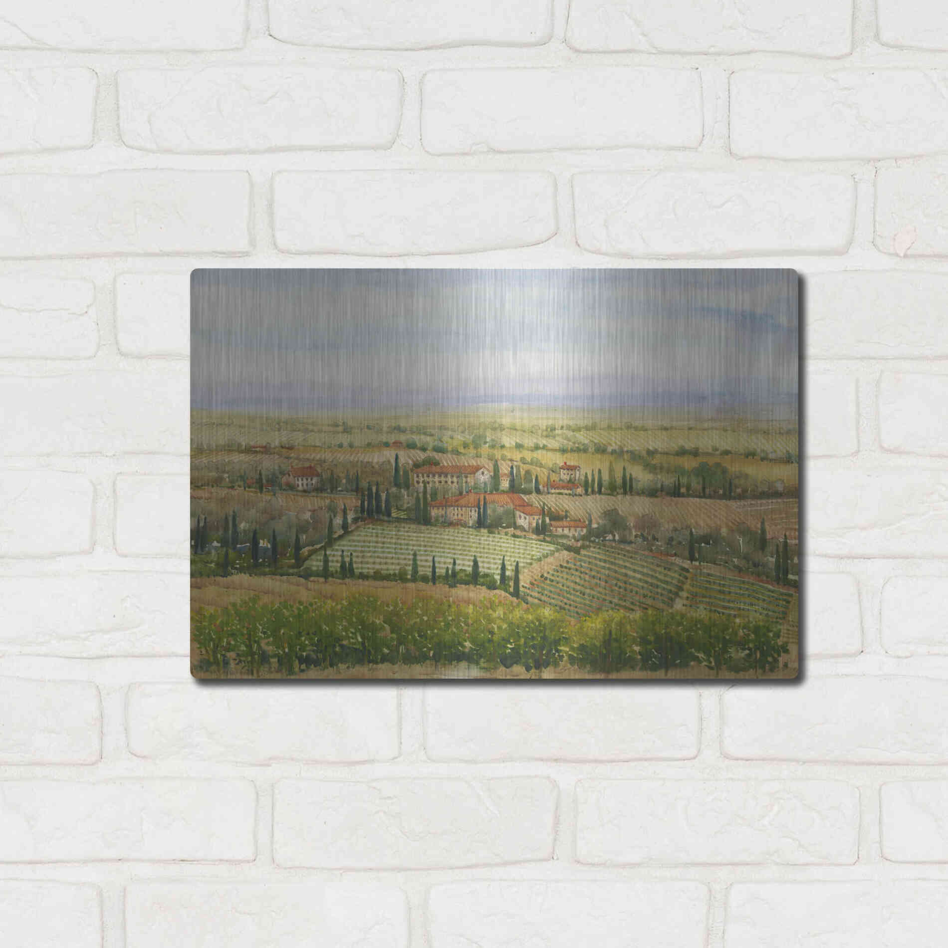 Luxe Metal Art 'Wine Country View II' by Tim O'Toole, Metal Wall Art,16x12