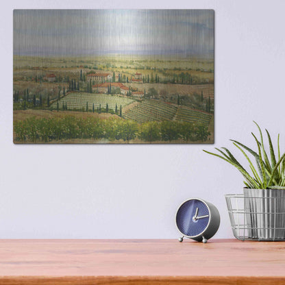 Luxe Metal Art 'Wine Country View II' by Tim O'Toole, Metal Wall Art,16x12
