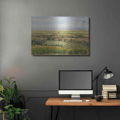 Luxe Metal Art 'Wine Country View II' by Tim O'Toole, Metal Wall Art,36x24