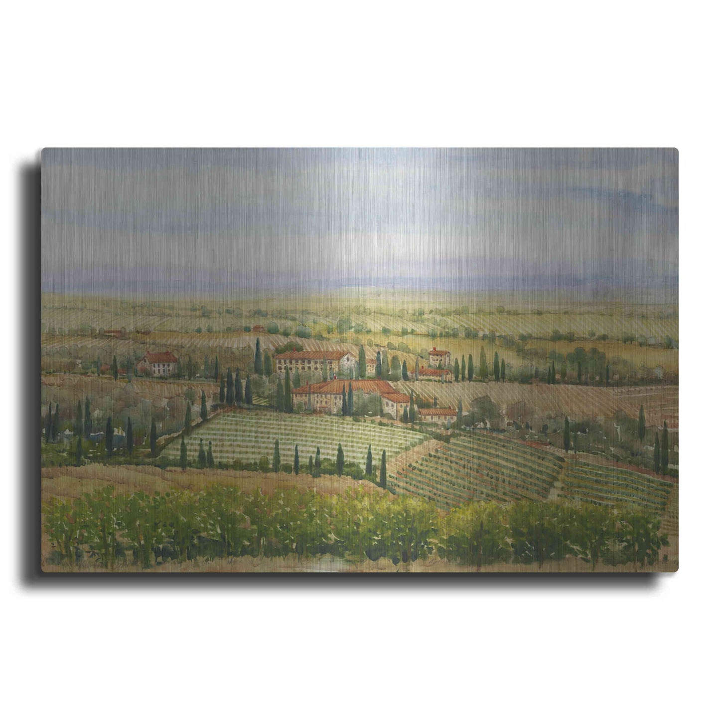 Luxe Metal Art 'Wine Country View II' by Tim O'Toole, Metal Wall Art