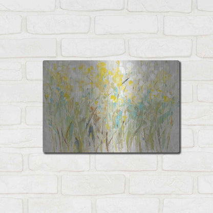 Luxe Metal Art 'Floral Cluster I' by Tim O'Toole, Metal Wall Art,16x12