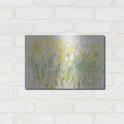 Luxe Metal Art 'Floral Cluster II' by Tim O'Toole, Metal Wall Art,16x12