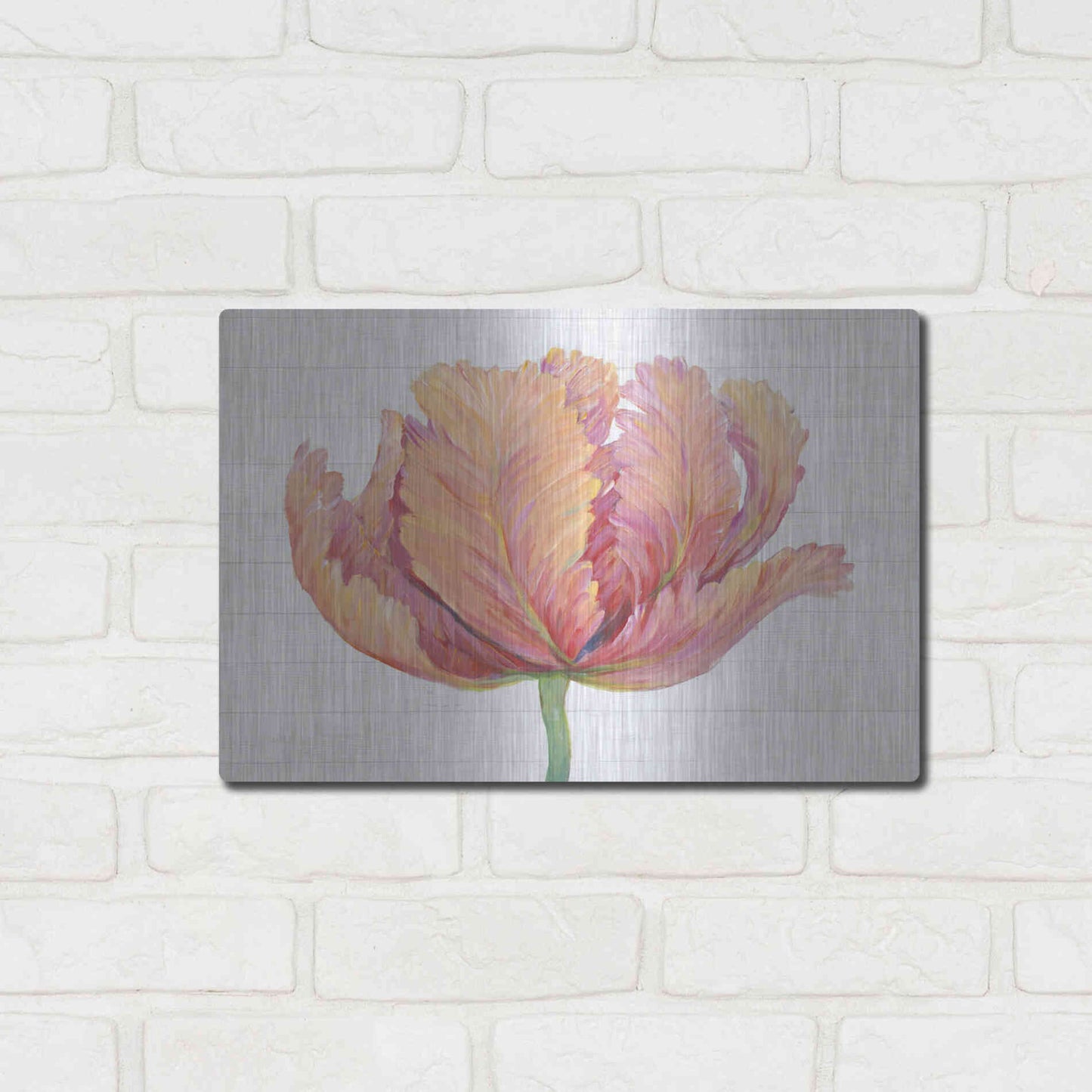 Luxe Metal Art 'Single Pink Bloom I' by Tim O'Toole, Metal Wall Art,16x12