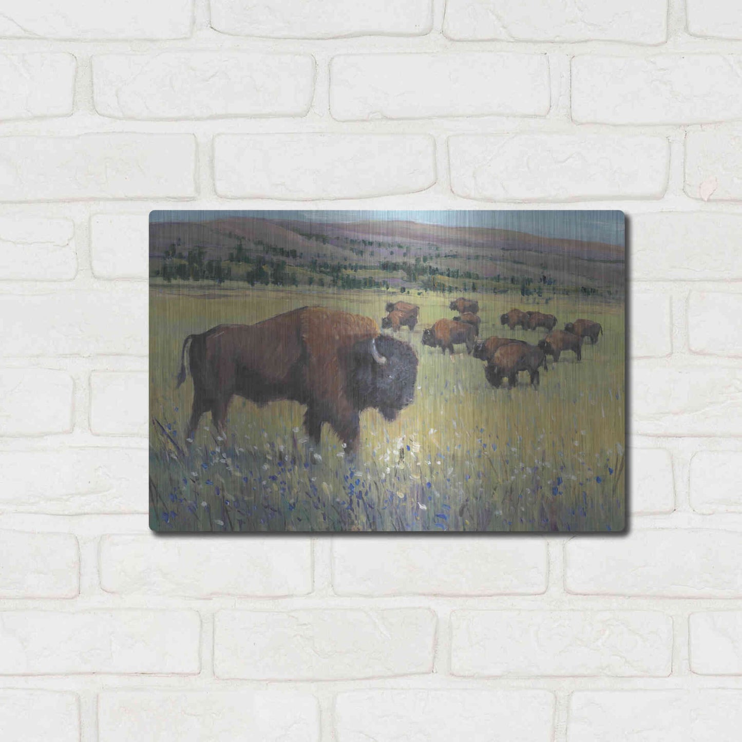 Luxe Metal Art 'Animals of the West I' by Tim O'Toole, Metal Wall Art,16x12