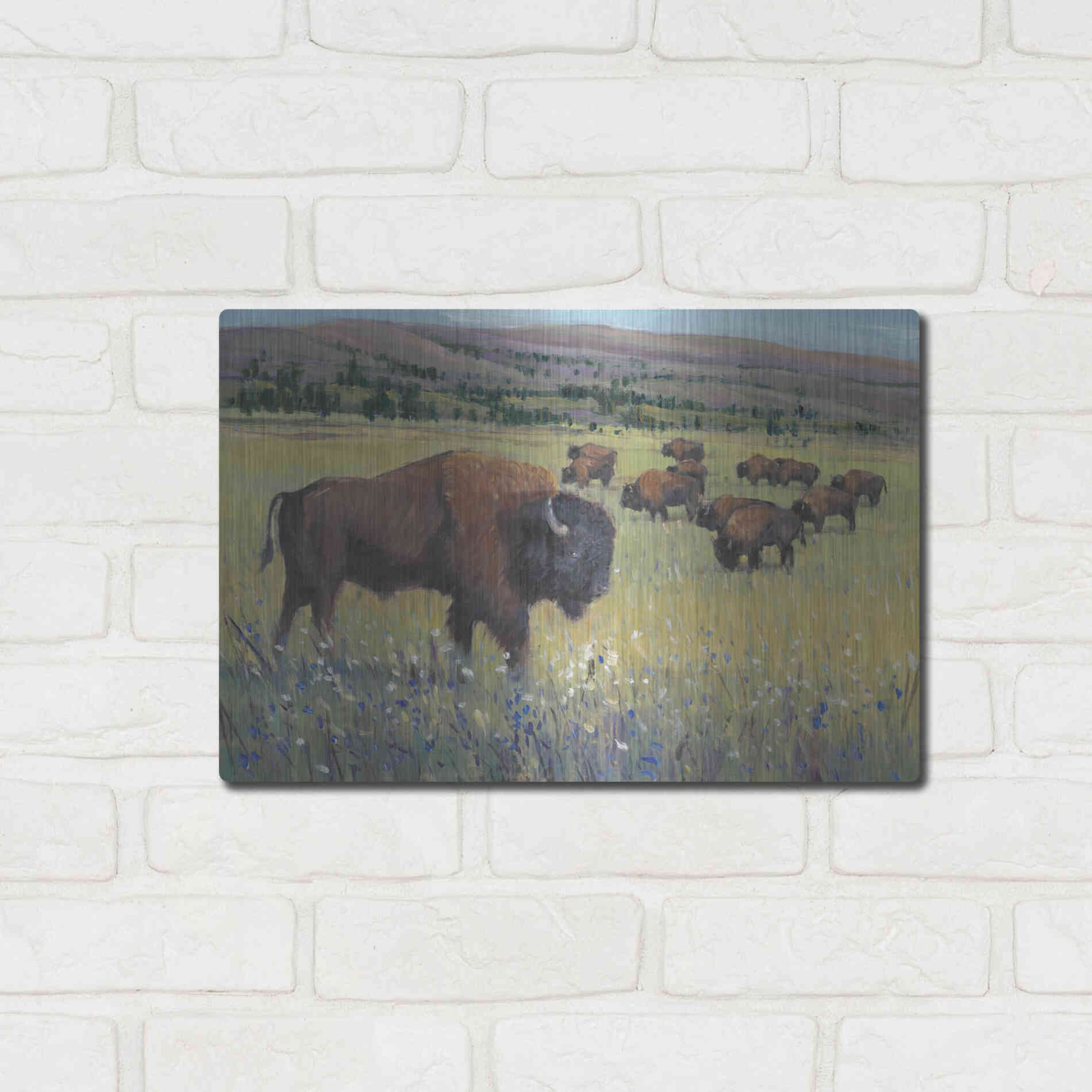 Luxe Metal Art 'Animals of the West I' by Tim O'Toole, Metal Wall Art,16x12