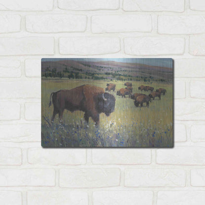 Luxe Metal Art 'Animals of the West I' by Tim O'Toole, Metal Wall Art,16x12