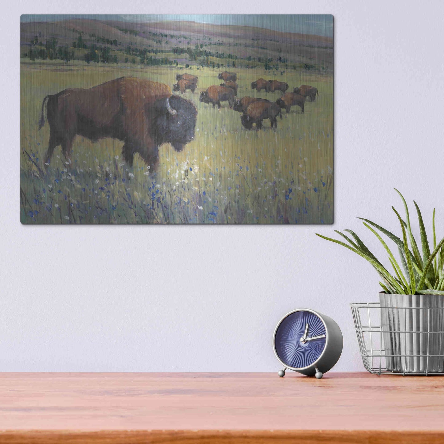 Luxe Metal Art 'Animals of the West I' by Tim O'Toole, Metal Wall Art,16x12