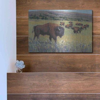 Luxe Metal Art 'Animals of the West I' by Tim O'Toole, Metal Wall Art,16x12