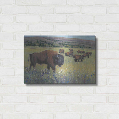 Luxe Metal Art 'Animals of the West I' by Tim O'Toole, Metal Wall Art,24x16