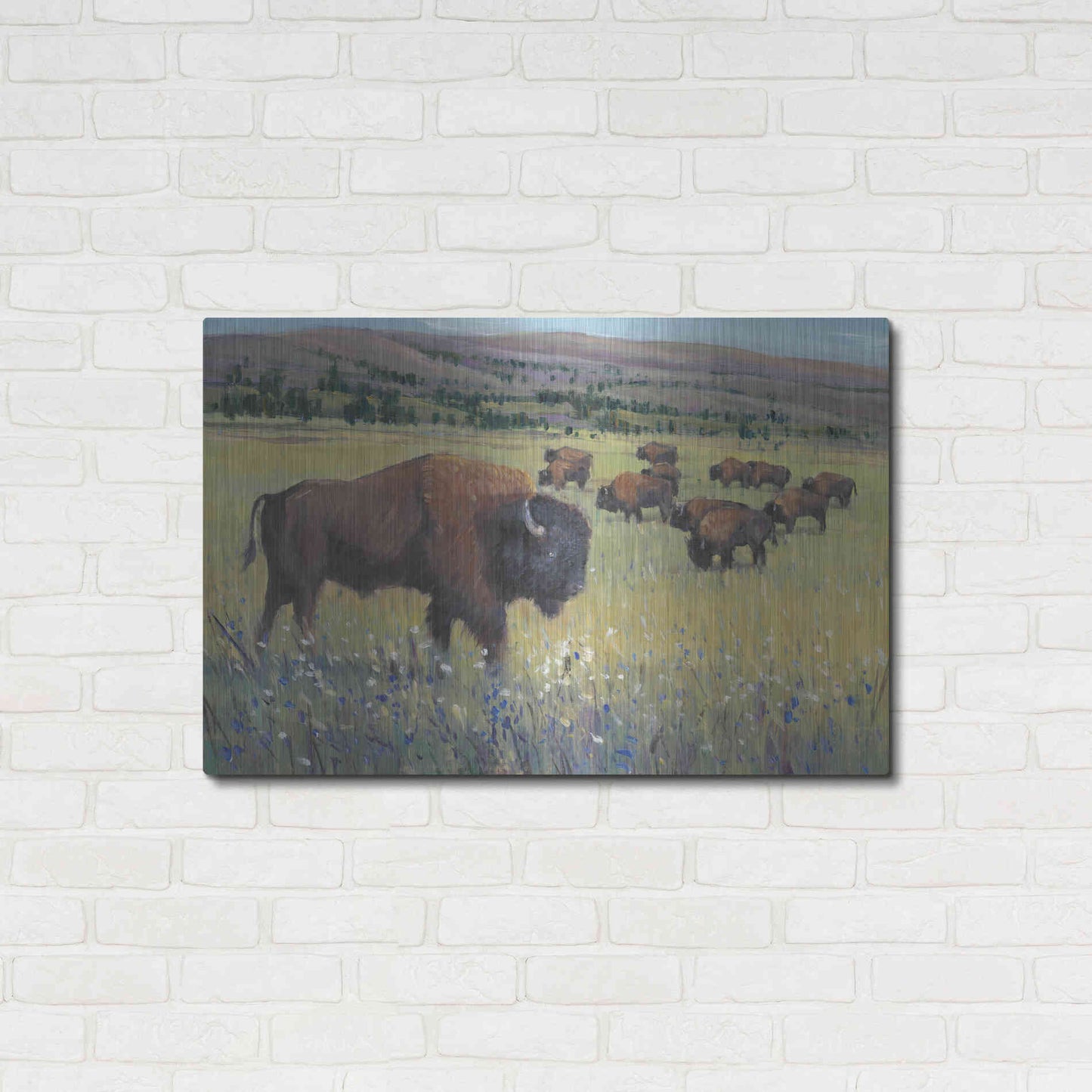 Luxe Metal Art 'Animals of the West I' by Tim O'Toole, Metal Wall Art,36x24