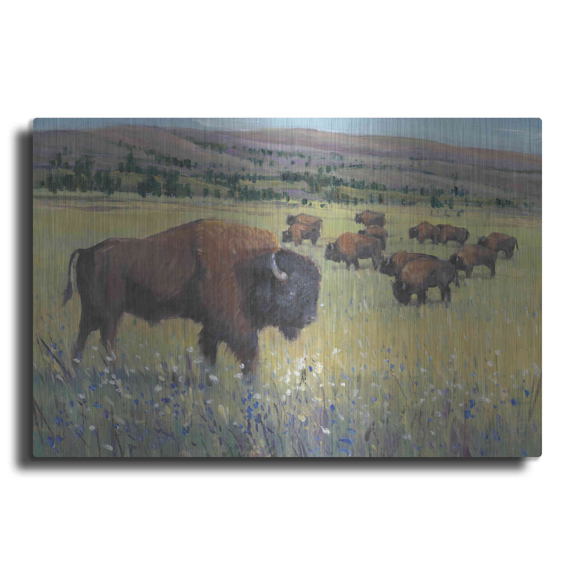 Luxe Metal Art 'Animals of the West I' by Tim O'Toole, Metal Wall Art