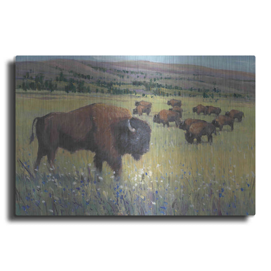 Luxe Metal Art 'Animals of the West I' by Tim O'Toole, Metal Wall Art