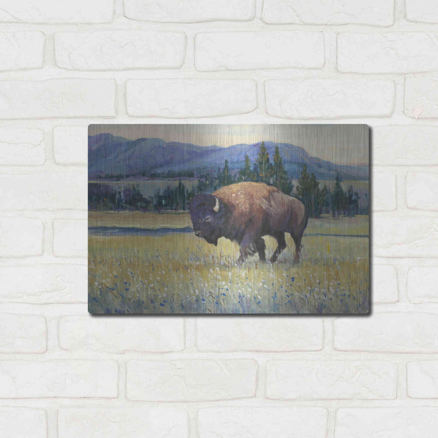 Luxe Metal Art 'Animals of the West II' by Tim O'Toole, Metal Wall Art,16x12