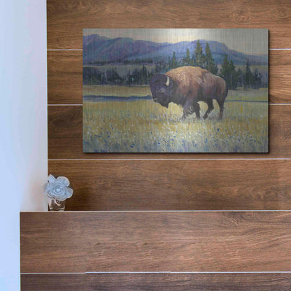 Luxe Metal Art 'Animals of the West II' by Tim O'Toole, Metal Wall Art,16x12