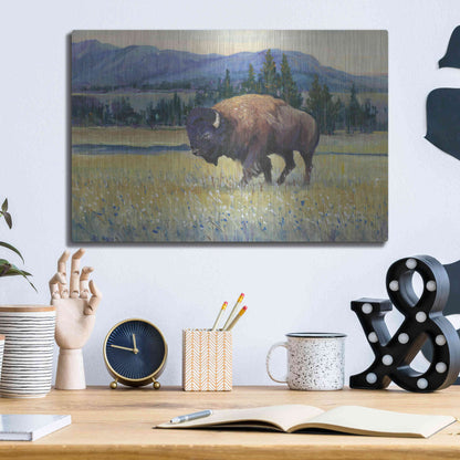 Luxe Metal Art 'Animals of the West II' by Tim O'Toole, Metal Wall Art,16x12