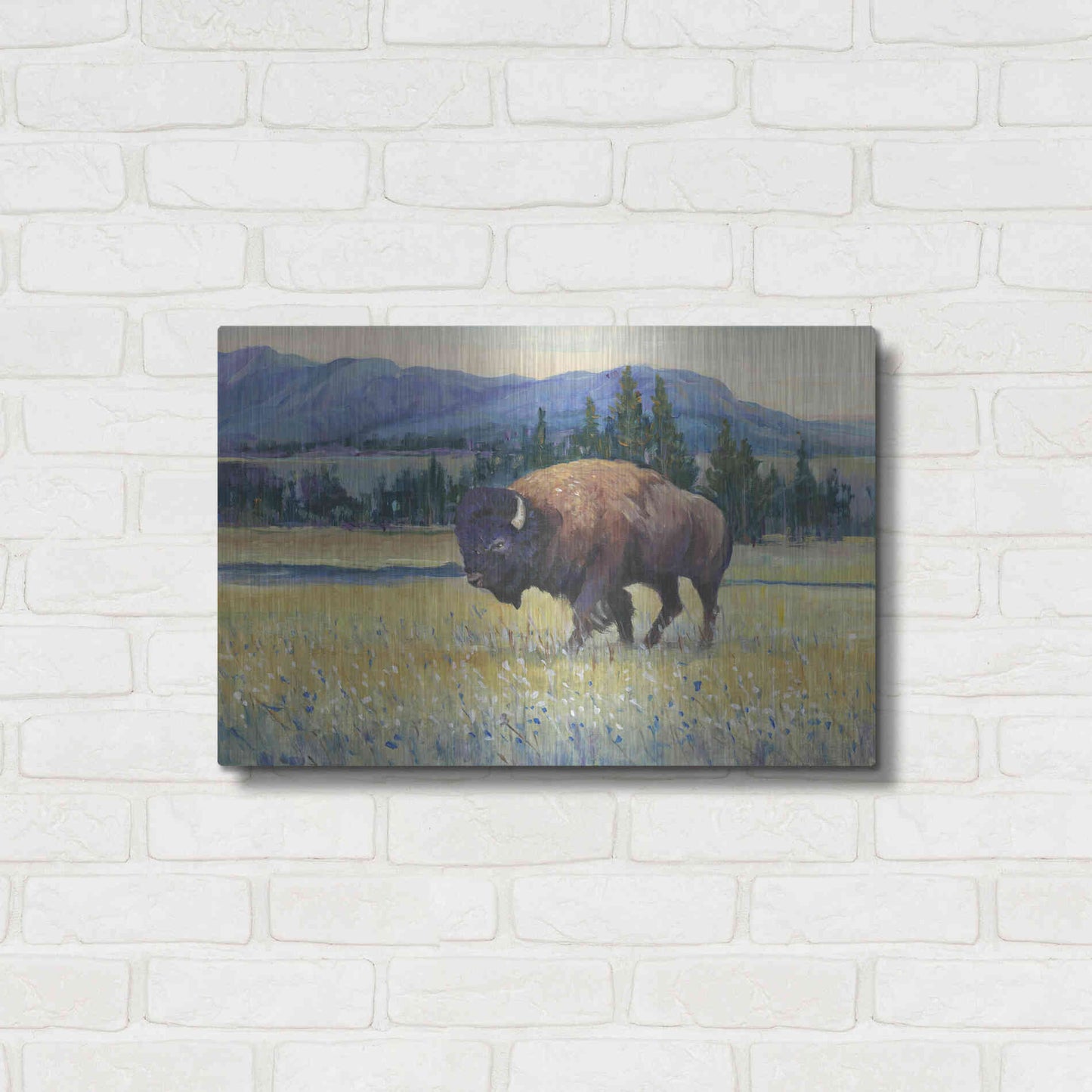 Luxe Metal Art 'Animals of the West II' by Tim O'Toole, Metal Wall Art,24x16