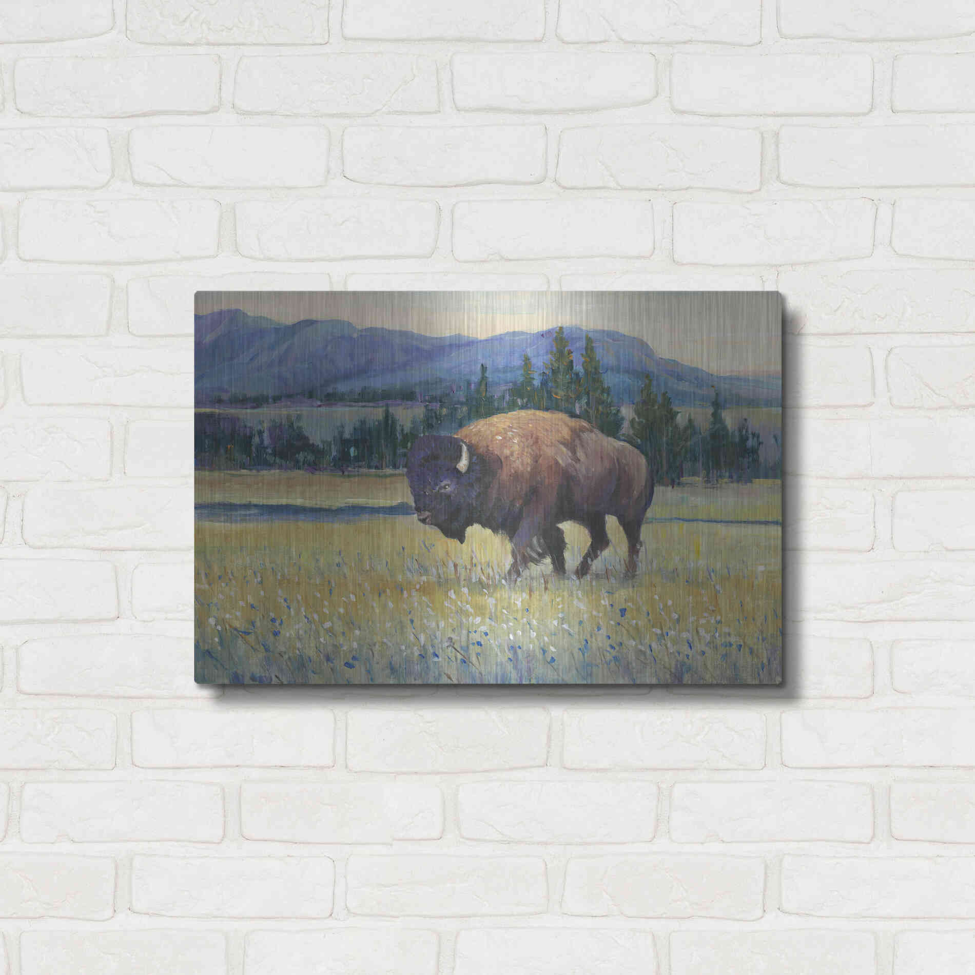 Luxe Metal Art 'Animals of the West II' by Tim O'Toole, Metal Wall Art,24x16