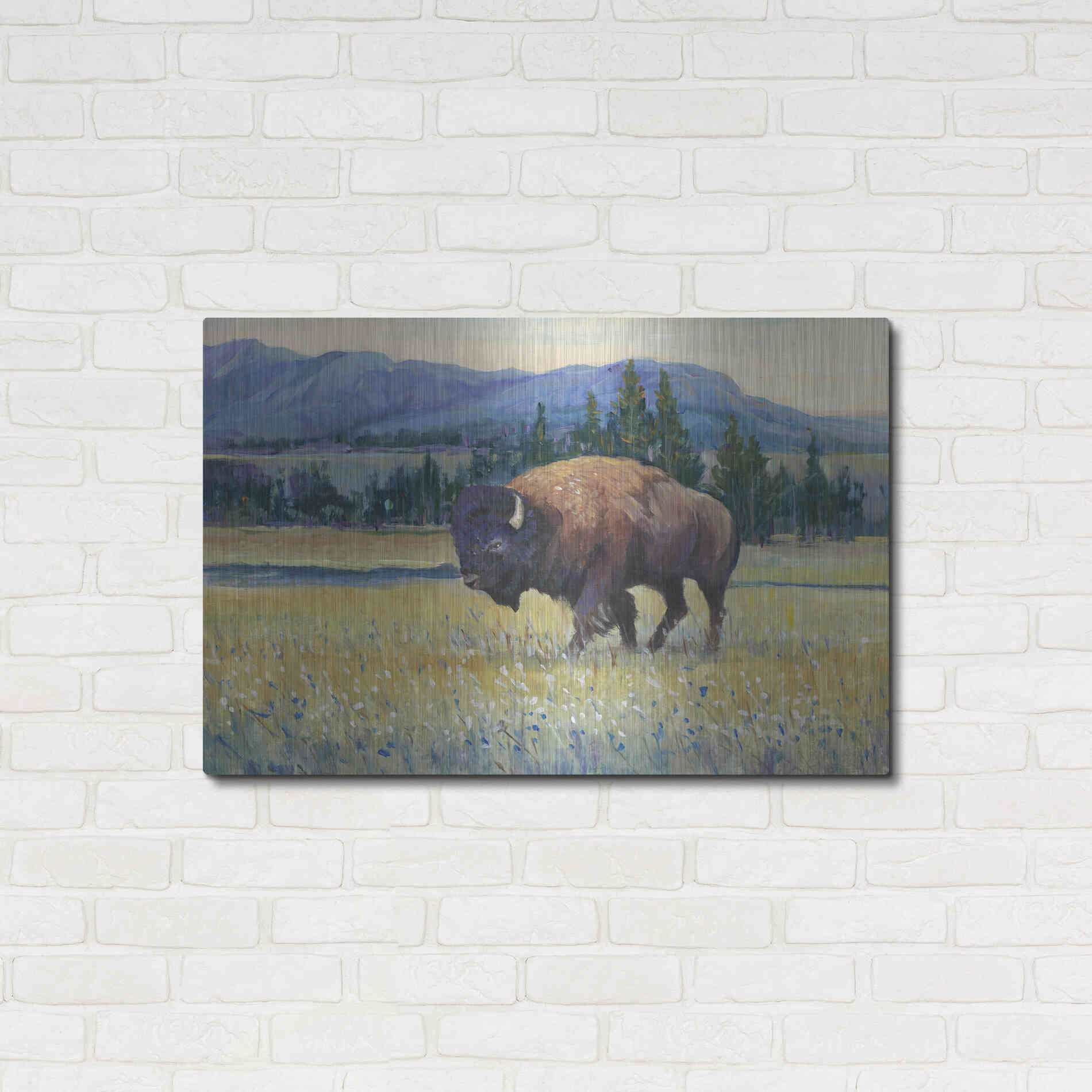 Luxe Metal Art 'Animals of the West II' by Tim O'Toole, Metal Wall Art,36x24