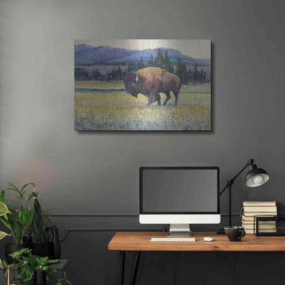 Luxe Metal Art 'Animals of the West II' by Tim O'Toole, Metal Wall Art,36x24