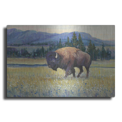 Luxe Metal Art 'Animals of the West II' by Tim O'Toole, Metal Wall Art