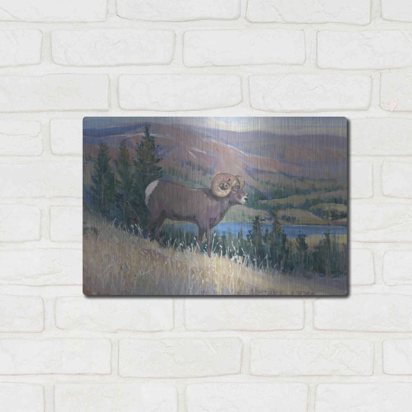 Luxe Metal Art 'Animals of the West III' by Tim O'Toole, Metal Wall Art,16x12