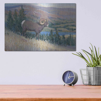 Luxe Metal Art 'Animals of the West III' by Tim O'Toole, Metal Wall Art,16x12