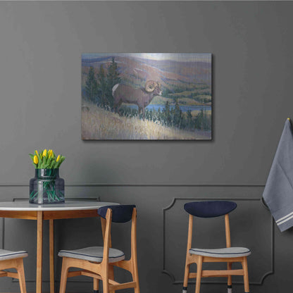 Luxe Metal Art 'Animals of the West III' by Tim O'Toole, Metal Wall Art,36x24