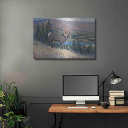 Luxe Metal Art 'Animals of the West III' by Tim O'Toole, Metal Wall Art,36x24