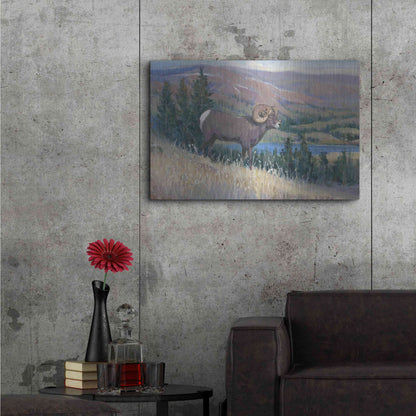 Luxe Metal Art 'Animals of the West III' by Tim O'Toole, Metal Wall Art,36x24