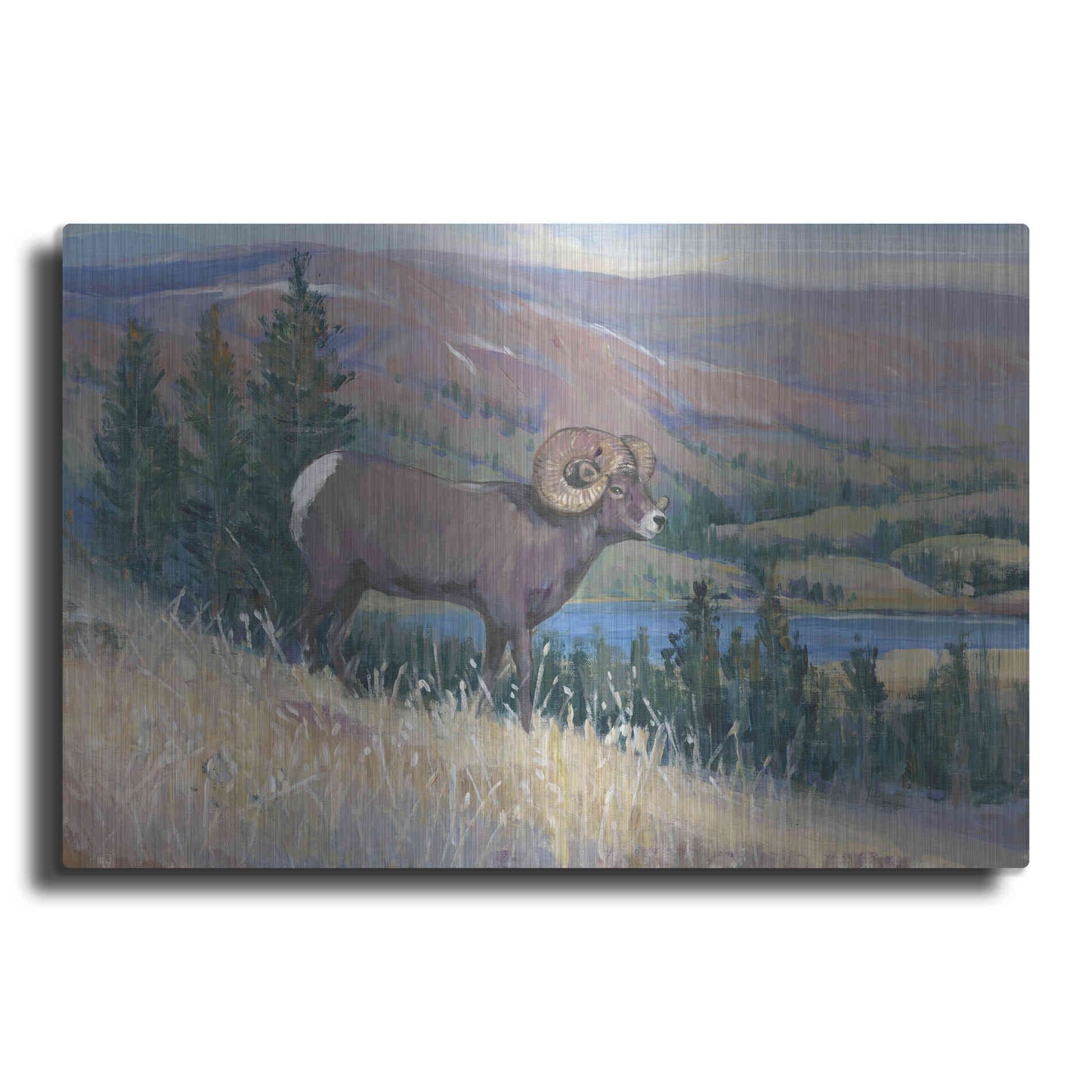 Luxe Metal Art 'Animals of the West III' by Tim O'Toole, Metal Wall Art