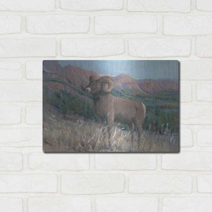 Luxe Metal Art 'Animals of the West IV' by Tim O'Toole, Metal Wall Art,16x12