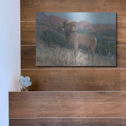 Luxe Metal Art 'Animals of the West IV' by Tim O'Toole, Metal Wall Art,16x12