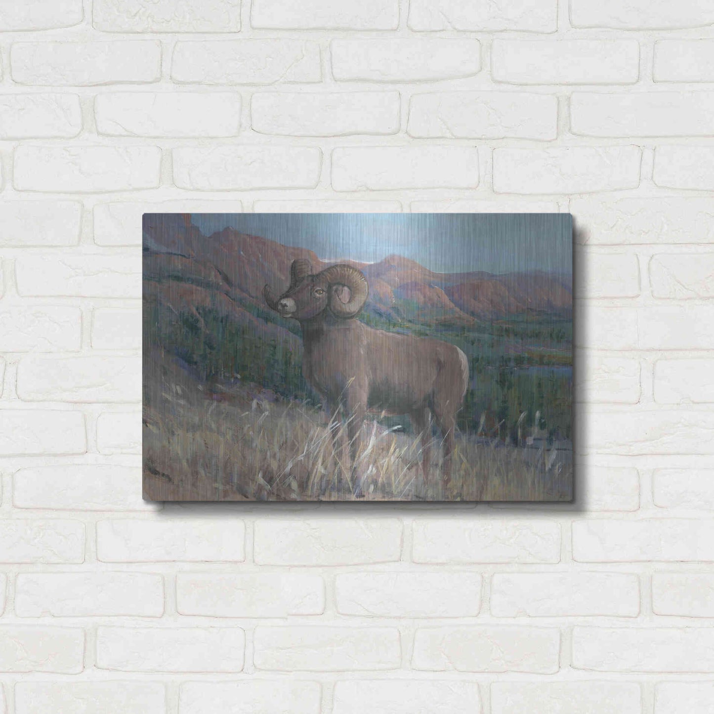 Luxe Metal Art 'Animals of the West IV' by Tim O'Toole, Metal Wall Art,24x16