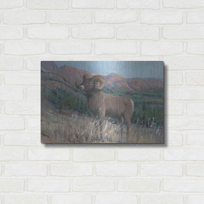 Luxe Metal Art 'Animals of the West IV' by Tim O'Toole, Metal Wall Art,24x16