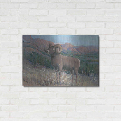 Luxe Metal Art 'Animals of the West IV' by Tim O'Toole, Metal Wall Art,36x24