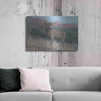 Luxe Metal Art 'Animals of the West IV' by Tim O'Toole, Metal Wall Art,36x24